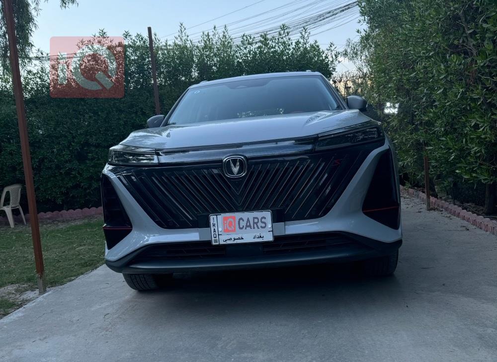 شانجان للبيع في العراق